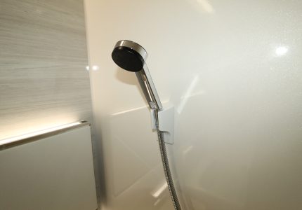 【どこでもラック(シャワーラック)】