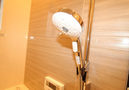 【エコシャワー(KVK製)】